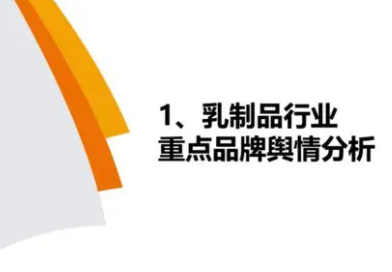 舆情分析报告