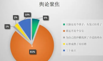 网络舆情报告