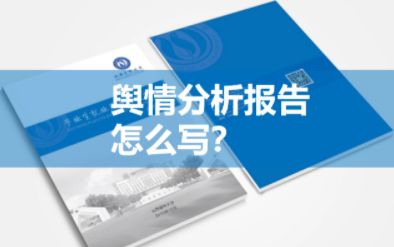 舆情怎么写