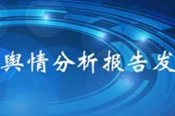 舆情的报告