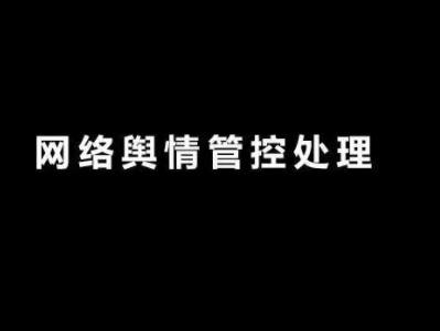 公安舆情监控