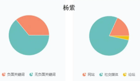 舆情啥意思